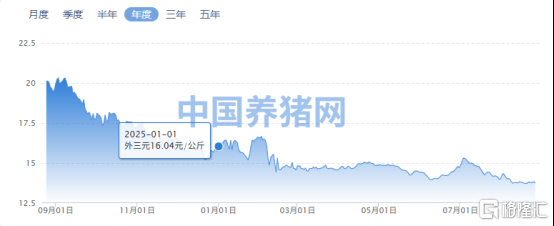 政策收储释放暖意！猪肉板块强势冲高，“猪茅”市值重返3000亿