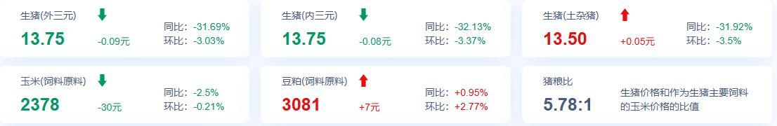 政策收储释放暖意！猪肉板块强势冲高，“猪茅”市值重返3000亿